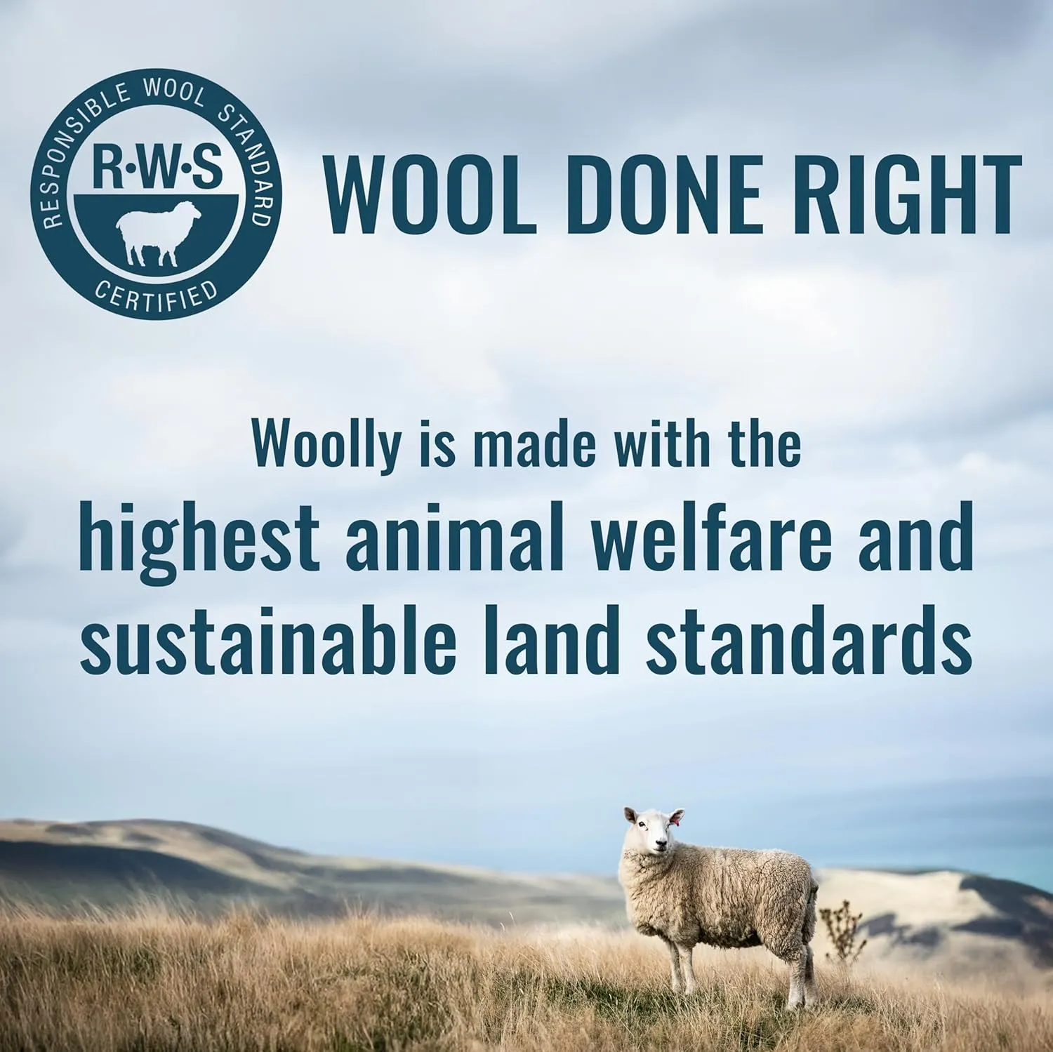 Women's Merino T-Shirt by Woolly | RWS Certified | Soft, Stink Free, Seattle Designed